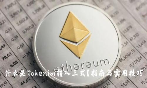 什么是Tokenim转入三式？指南与实用技巧