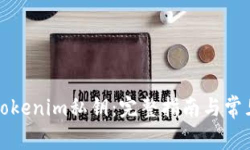 如何找回Tokenim私钥：完整指南与常见问题解答