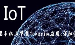 如何在苹果手机上下载Tokenim应用:详细步骤与技