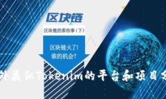 国外类似Tokenim的平台和项目分析