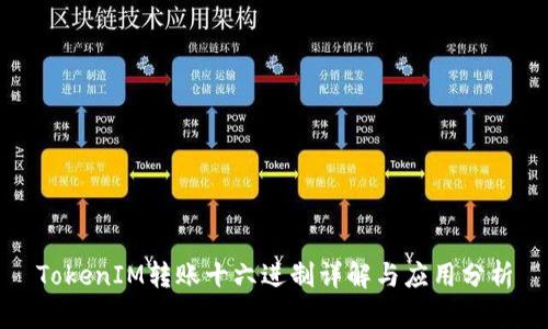 TokenIM转账十六进制详解与应用分析