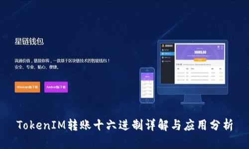 TokenIM转账十六进制详解与应用分析