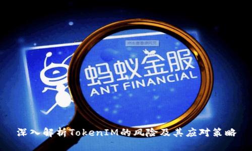 深入解析TokenIM的风险及其应对策略
