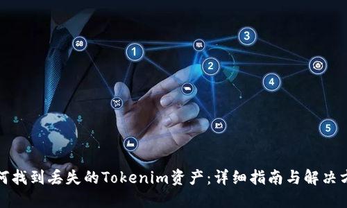 如何找到丢失的Tokenim资产：详细指南与解决方案