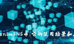 探秘TokenimSNS币:它的使用场景和应用前景