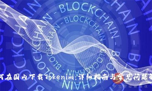 如何在国内下载Tokenim:详细指南与常见问题解答
