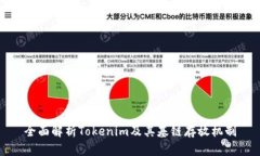 全面解析Tokenim及其基链存放机制