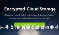深入探索Tokenim平台:如何安全存储比特币及其他