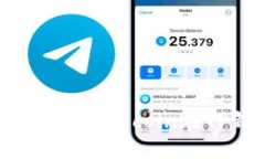 FIL币与TP钱包:探索Filecoin在TP钱包中的链支持