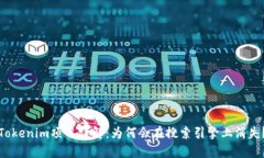 Tokenim项目详解：为何会在搜索引擎上消失？