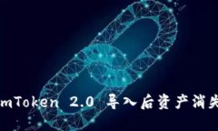 放心！解决 imToken 2.0 导入后资产消失的终极指南