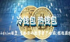 Tokenim恢复：重拾你的数字资产之旅，摆脱困境！