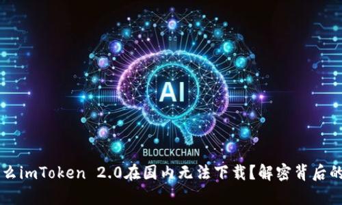 为什么imToken 2.0在国内无法下载？解密背后的真相
