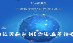 失去助记词和私钥？你还在等待奇迹吗？