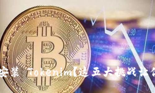 手机无法安装 Tokenim？这五大挑战让你望而却步
