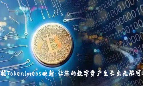 掌握Tokenimeos映射：让您的数字资产生长出无限可能！