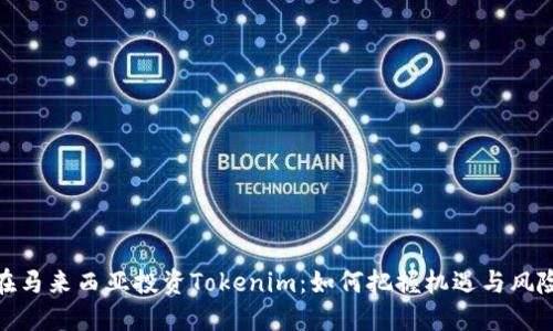 在马来西亚投资Tokenim：如何把握机遇与风险