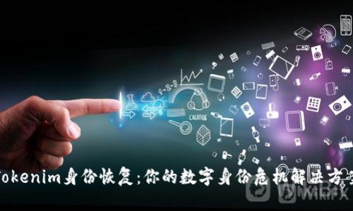 Tokenim身份恢复：你的数字身份危机解决方案