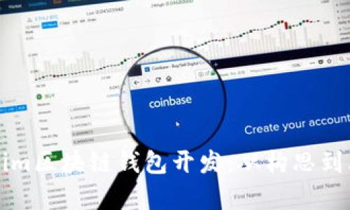全面解析Tokenim区块链钱包开发：从构思到上线的完整指南