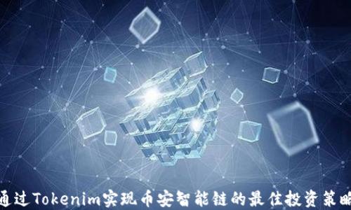 
通过Tokenim实现币安智能链的最佳投资策略