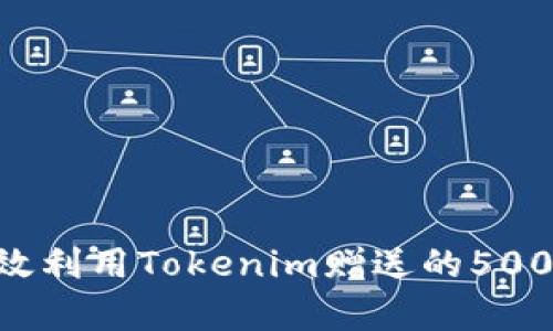 如何有效利用Tokenim赠送的500个OKB？