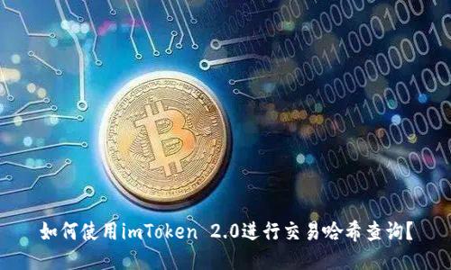 如何使用imToken 2.0进行交易哈希查询？