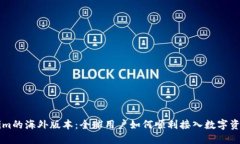 Tokenim的海外版本：全球用户如何顺利接入数字资