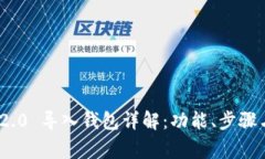 imToken 2.0 导入钱包详解：功能、步骤与注意事项