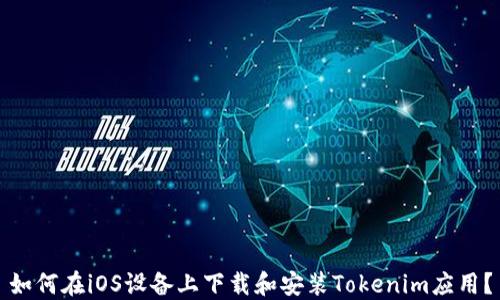 
如何在iOS设备上下载和安装Tokenim应用？