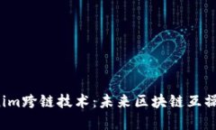  深入解析Tokenim跨链技术：未来区块链互操作性的