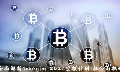 
全面解析Tokenim 2021空投计划：机会与挑战