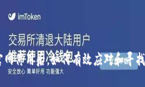 Tokenim官网停用后，如何有效应对和寻找替代方案？