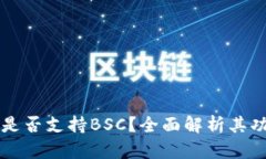 ImToken 2.0是否支持BSC？全面解析其功能与使用指南